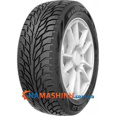 Petlas Glacier W661 225/50 R17 98T XL